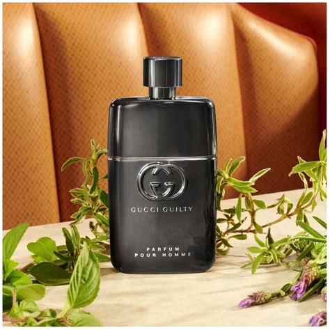 gucci guilty pour homme erfahrung|Gucci Guilty Pour homme fragrantica.